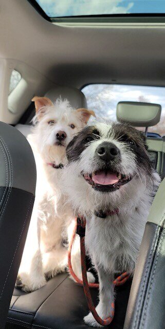 Daisy and Olive