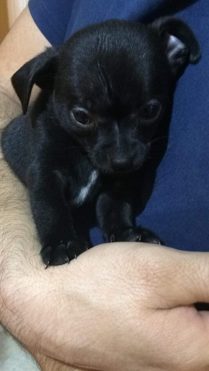 Frida Sofia