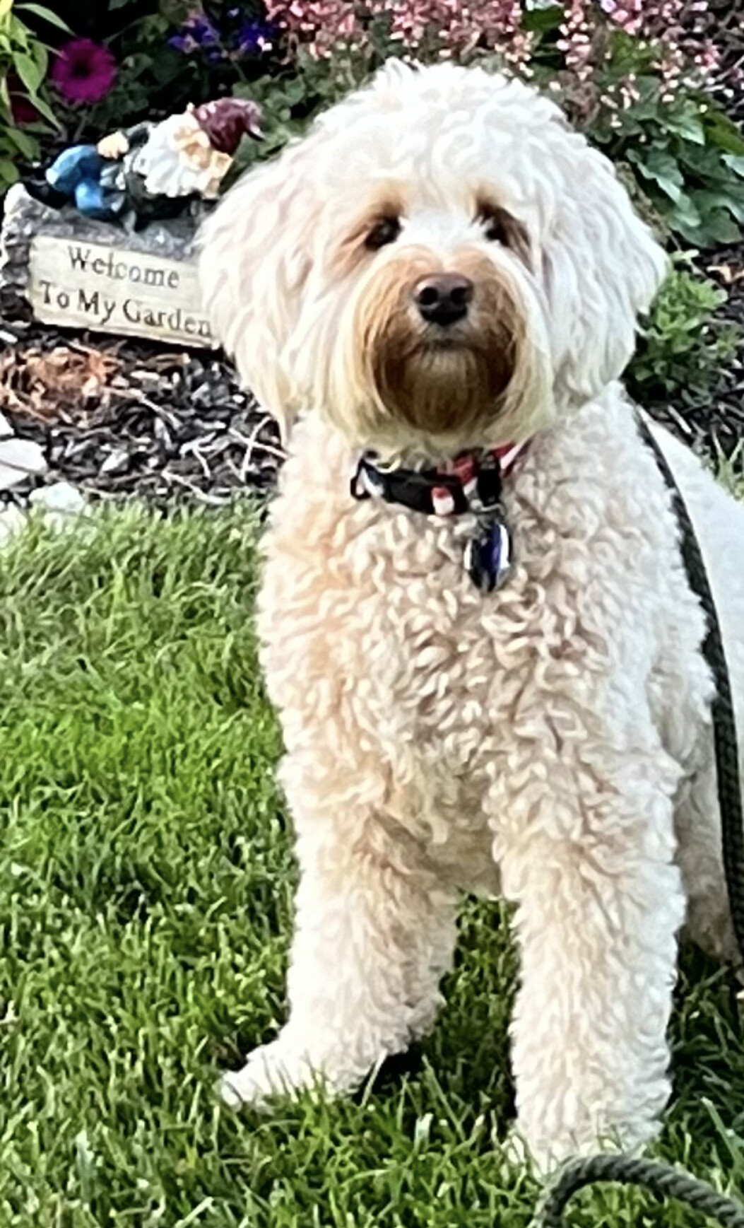 Ruthie-Ann